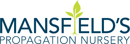 mansfields-logo