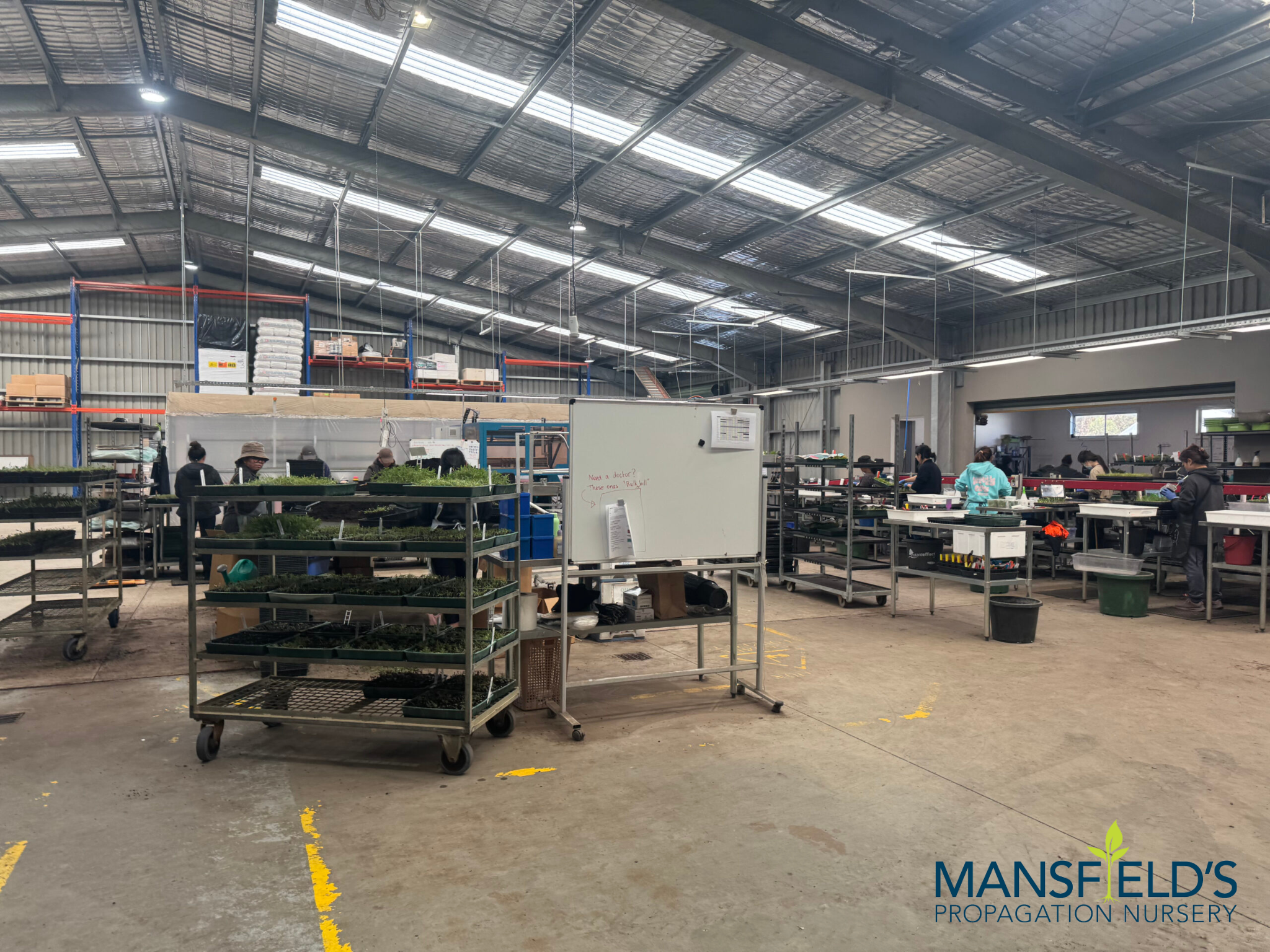 Mansfield's Propagation Nursery